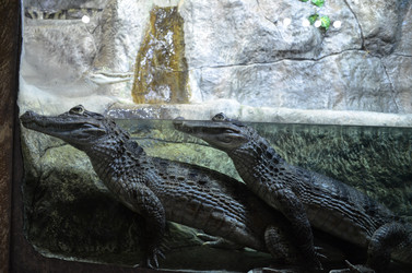 Similar image 21704599