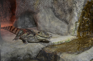 Similar image 21704600