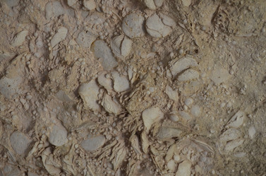 Similar image 21704749