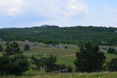 Similar image 21703432