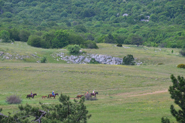 Similar image 21703433