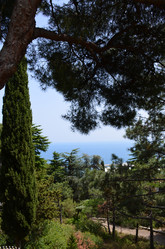 Similar image 21704750