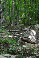 Similar image 21704752