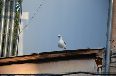 Similar image 21704753