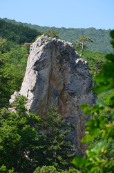 Similar image 21704756