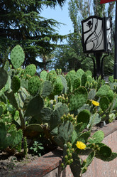 Similar image 21704757