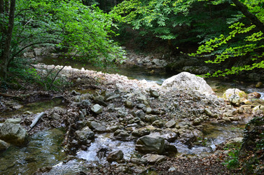 Similar image 21704758