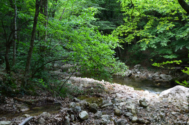 Similar image 21704759