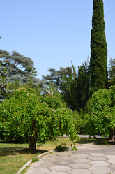 Similar image 21703751