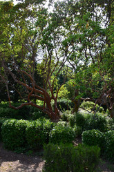 Similar image 21703752