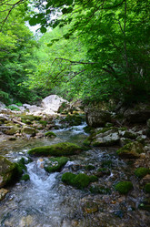 Similar image 21704761