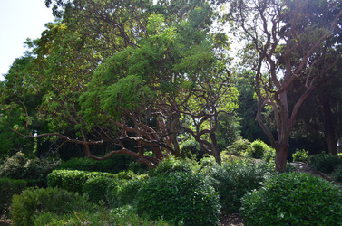 Similar image 21703753