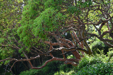 Similar image 21703754