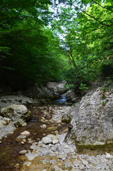 Similar image 21704764