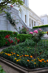 Similar image 21703758