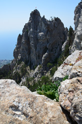 Similar image 21703441