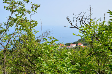 Similar image 21704770