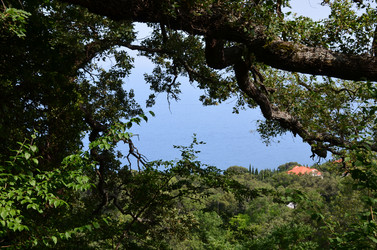 Similar image 21704771