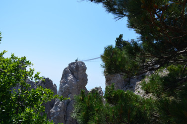 Similar image 21703445