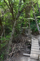 Similar image 21703767