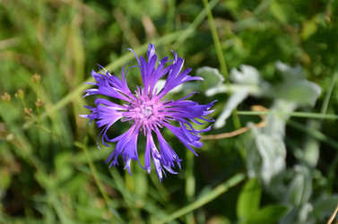 Similar image 21704779