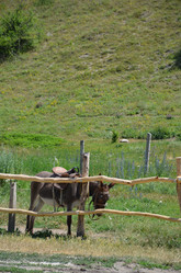 Similar image 21704602