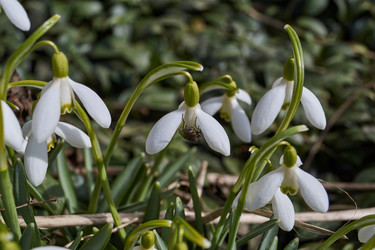 Similar image 21703313