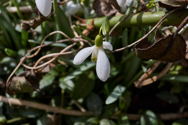 Similar image 21703315