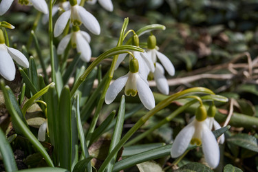 Similar image 21703316