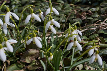 Similar image 21703319