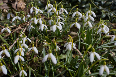 Similar image 21703320