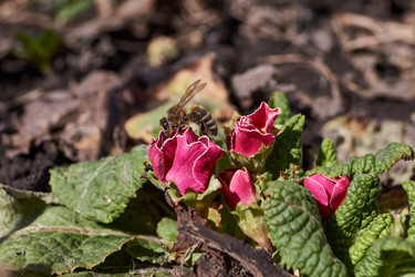 Similar image 21703326