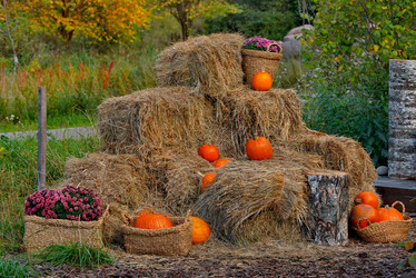 Similar image 21710489