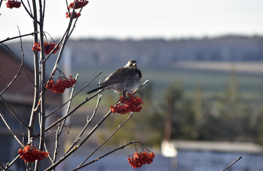 Similar image 21703334