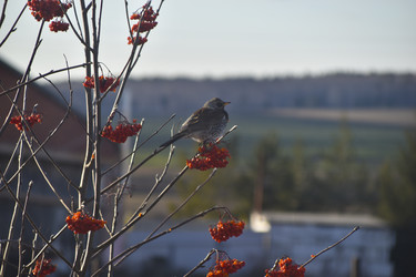 Similar image 21703335