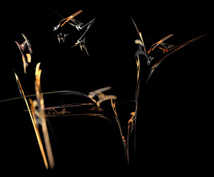 Similar image 21703463