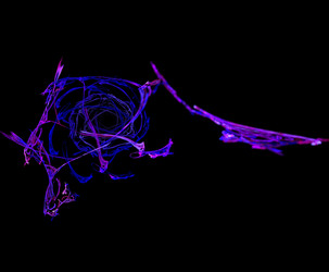 Similar image 21703467