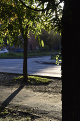 Similar image 21703337