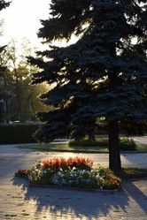 Similar image 21703338