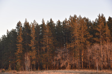 Similar image 21703341