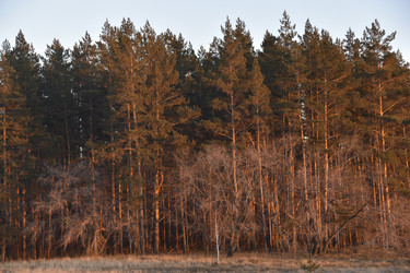 Similar image 21703342