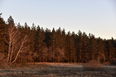 Similar image 21703344