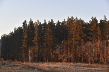 Similar image 21703345