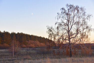 Similar image 21703346