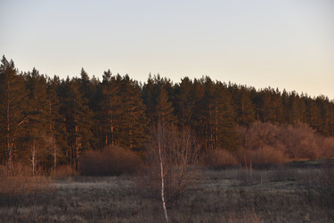 Similar image 21703347