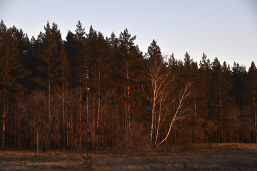 Similar image 21703348