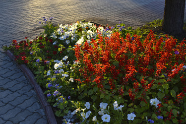 Similar image 21703775