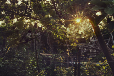 Similar image 21703592