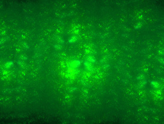 Similar image 21706151