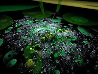 Similar image 21705022